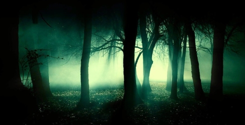 The_Woods_at_Night_Wallpaper_e67n